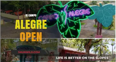 Is Campo Alegre Open? Current Status and Visitor Information