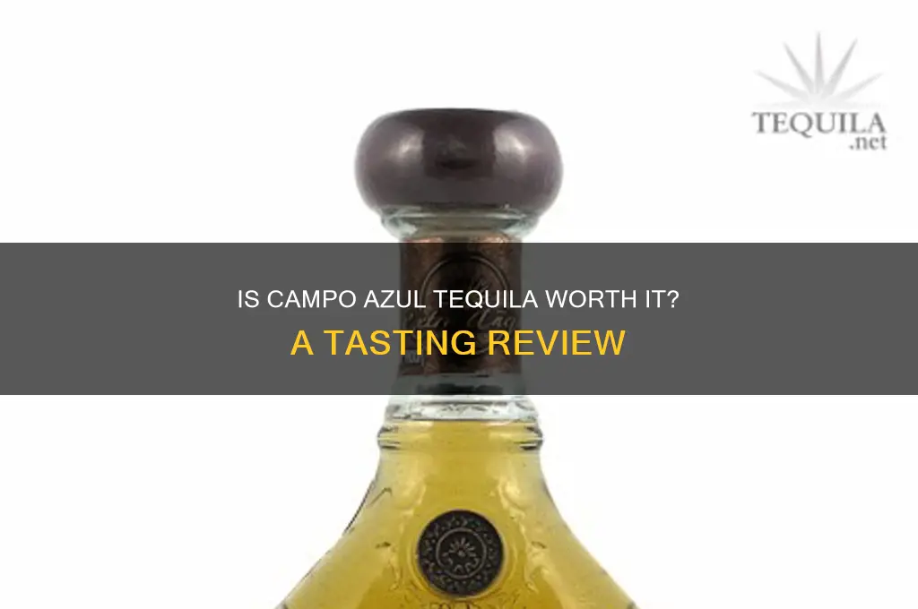is campo azul tequila good
