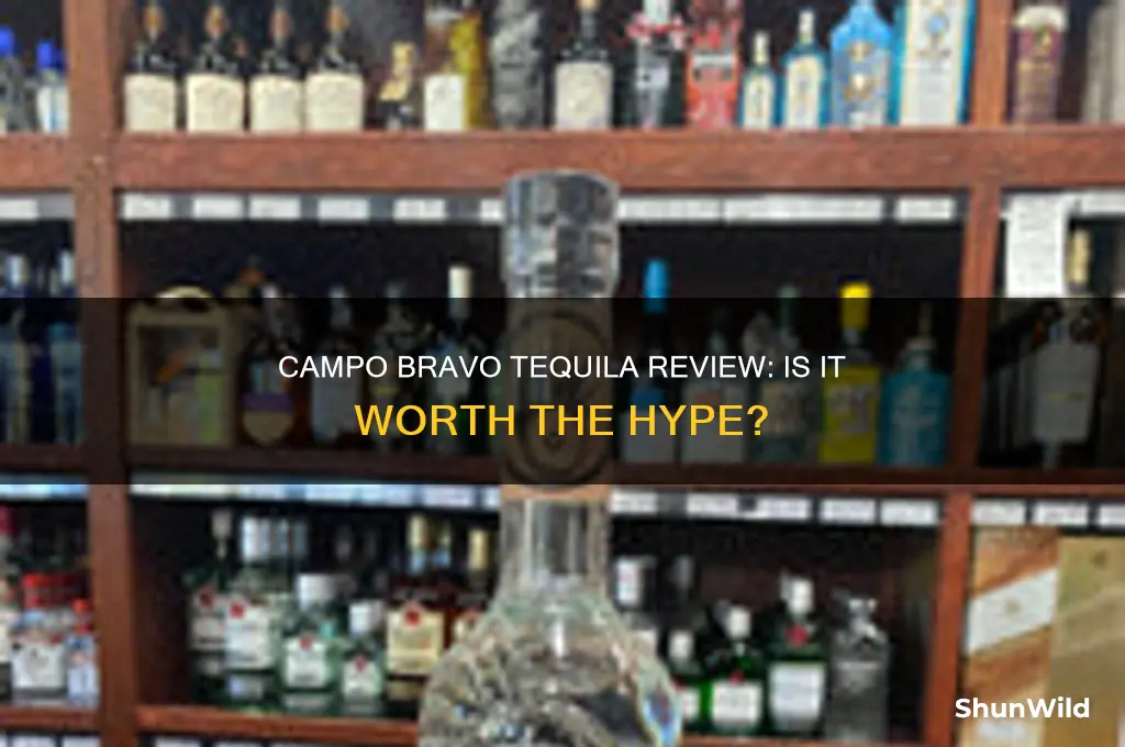 is campo bravo tequila good