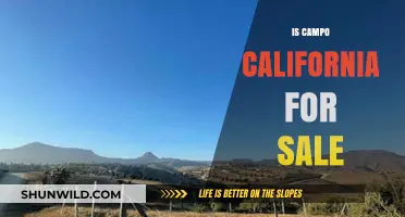 Is Campo, California for Sale? Exploring Land and Property Opportunities