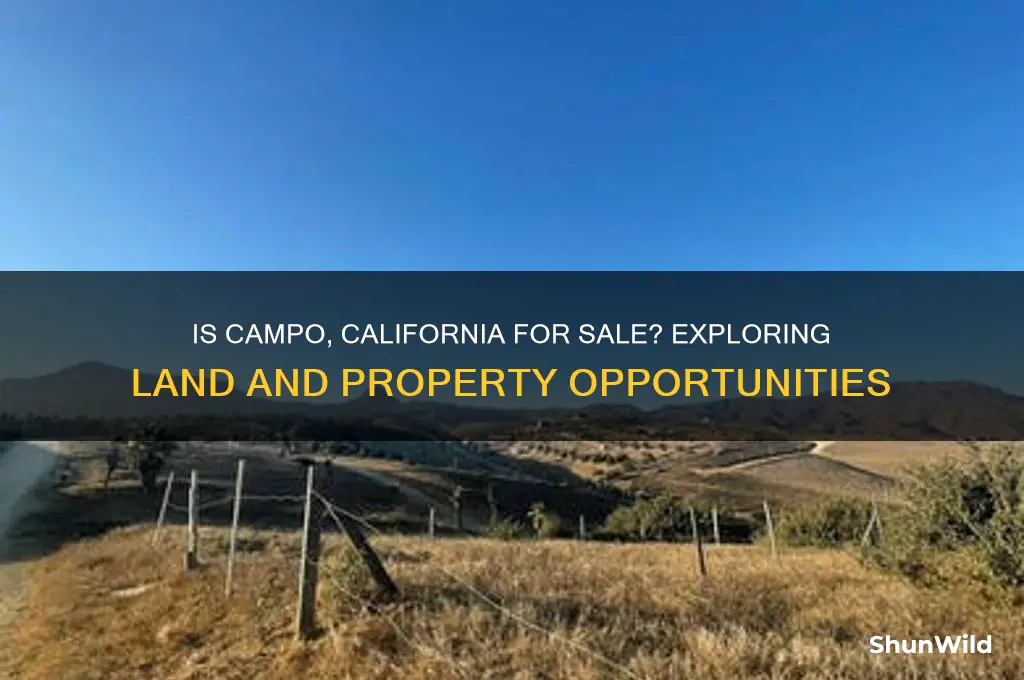 is campo california for sale