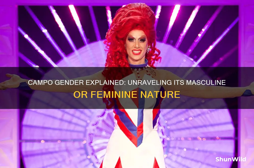 is campo masculine or feminine
