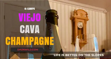 Campo Viejo Cava vs. Champagne: Unraveling the Sparkling Wine Mystery