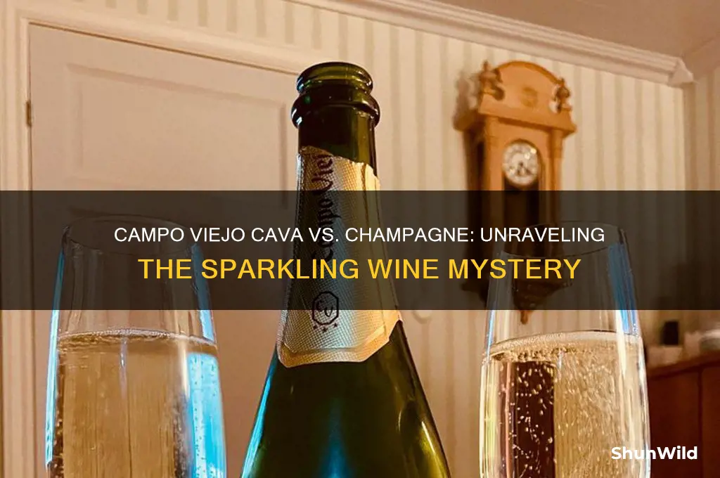 is campo viejo cava champagne