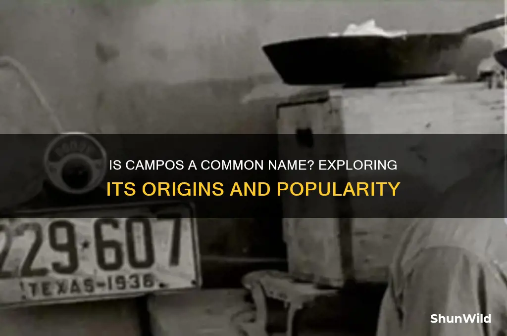 is campos a common name