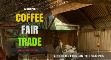 Is Campos Coffee Fair Trade? Exploring Ethical Sourcing Practices
