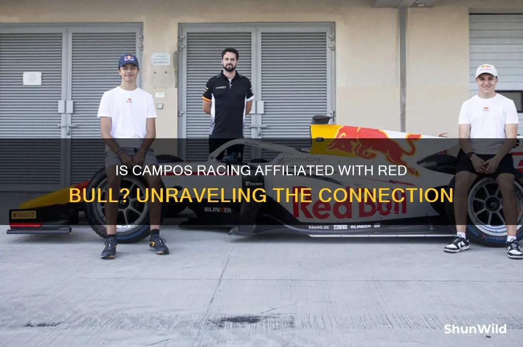 is campos racing red bull