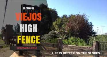 Is Campos Viejos High Fence? Unveiling the Truth Behind the Myth
