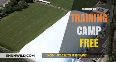 Is Cardinals Training Camp Free? Everything Fans Need to Know