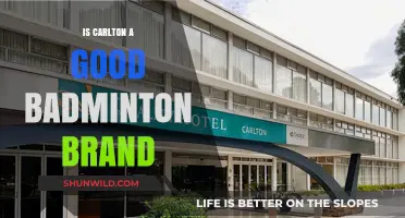 Carlton Badminton Rackets: Are They Worth It?