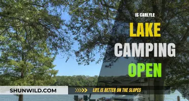 Carlyle Lake Camping: Current Status and Opening Updates for Visitors