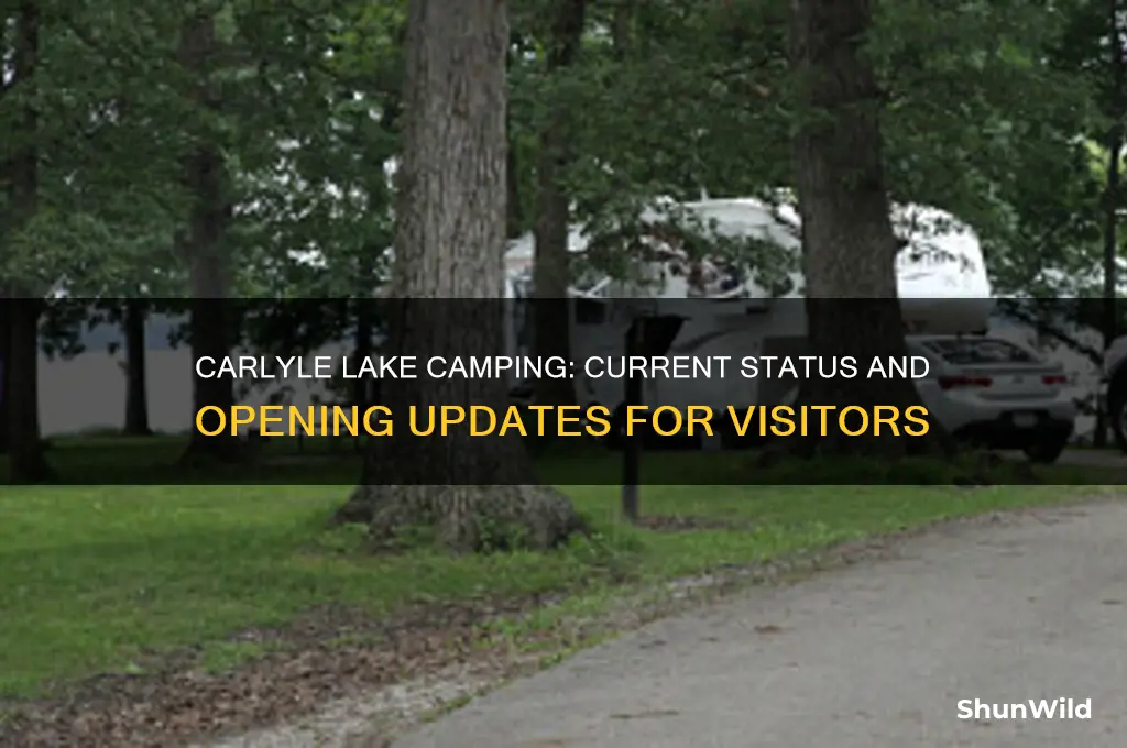 is carlyle lake camping open