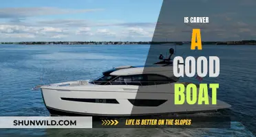 Carver Boats: Performance, Features, and Overall Value