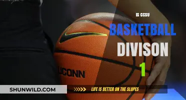 CCSU Basketball: Division 1 Status Explored