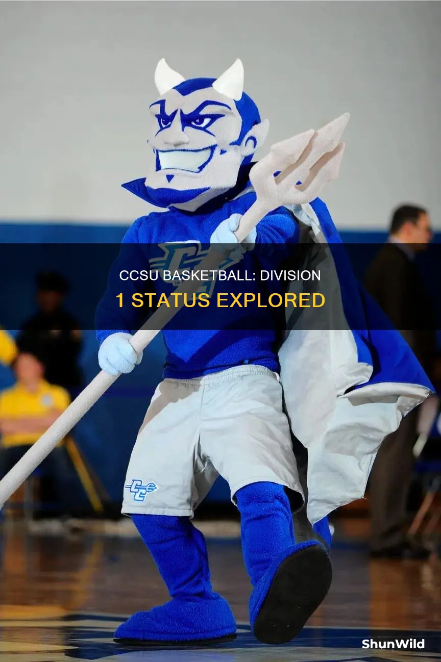 is ccsu basketball divison 1