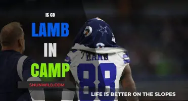 Is CD Lamb in Camp? Unraveling the Mystery and Facts