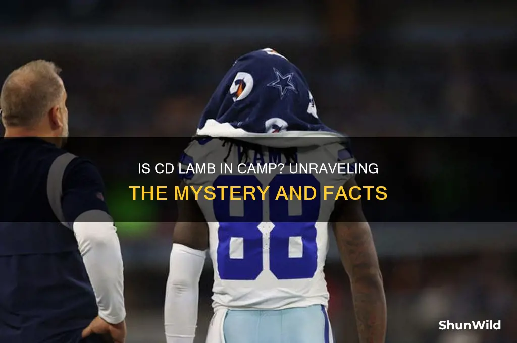 is cd lamb in camp