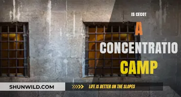Unveiling the Truth: Was Cecot a Concentration Camp?