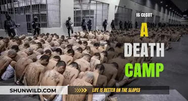 Unveiling the Truth: Was Cecot a Death Camp or Misunderstood?