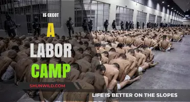 Is Cecot a Labor Camp? Uncovering the Truth Behind the Claims