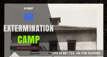 Unveiling the Truth: Was Cecot a Nazi Extermination Camp?