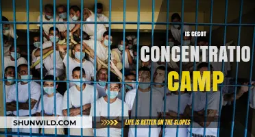 Uncovering the Truth: Cecot Concentration Camp's Dark History Explored