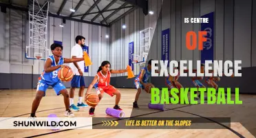 Basketball Centre of Excellence: Developing Future Stars