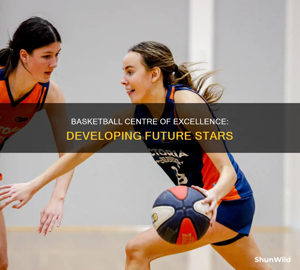 is centre of excellence basketball