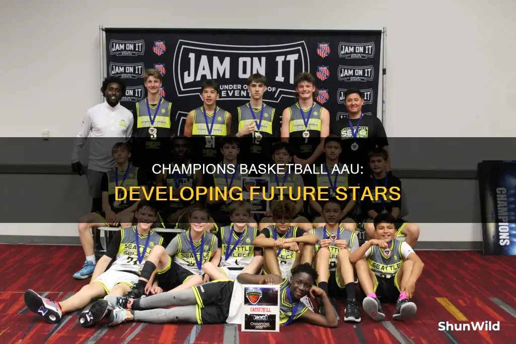 is champions basketball aau