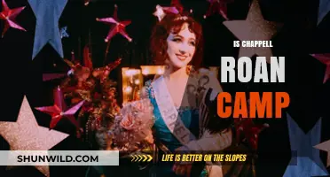 Is Chappell Roan Camp the Ultimate Summer Music Experience?