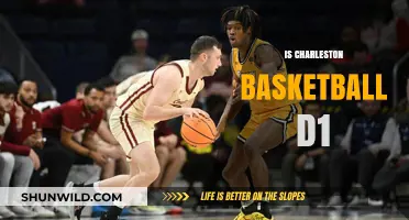 Charleston Basketball: D1 or Not?