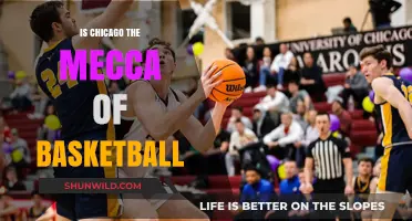 Chicago: The Basketball Capital of the World?