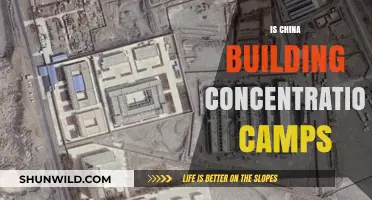 China's Xinjiang Camps: Detention Centers or Cultural Genocide?