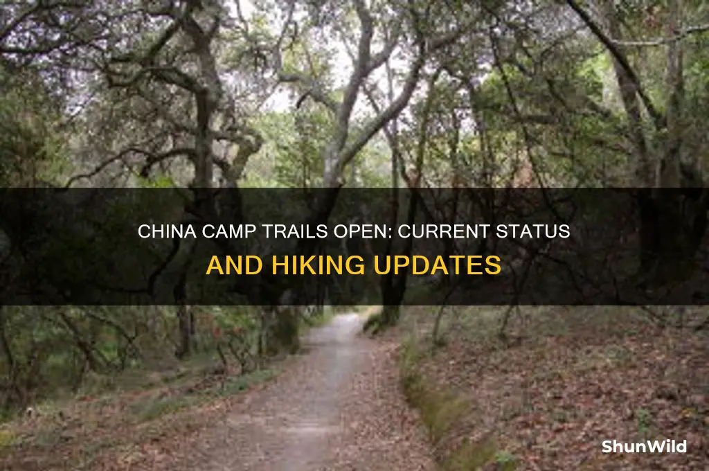 is china camp trails open