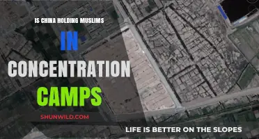 China's Xinjiang Camps: Detention, Human Rights, and Muslim Persecution