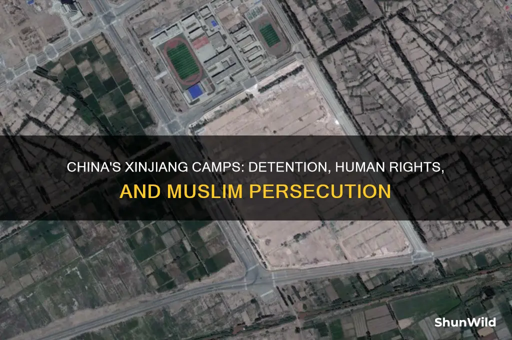 is china holding muslims in concentration camps
