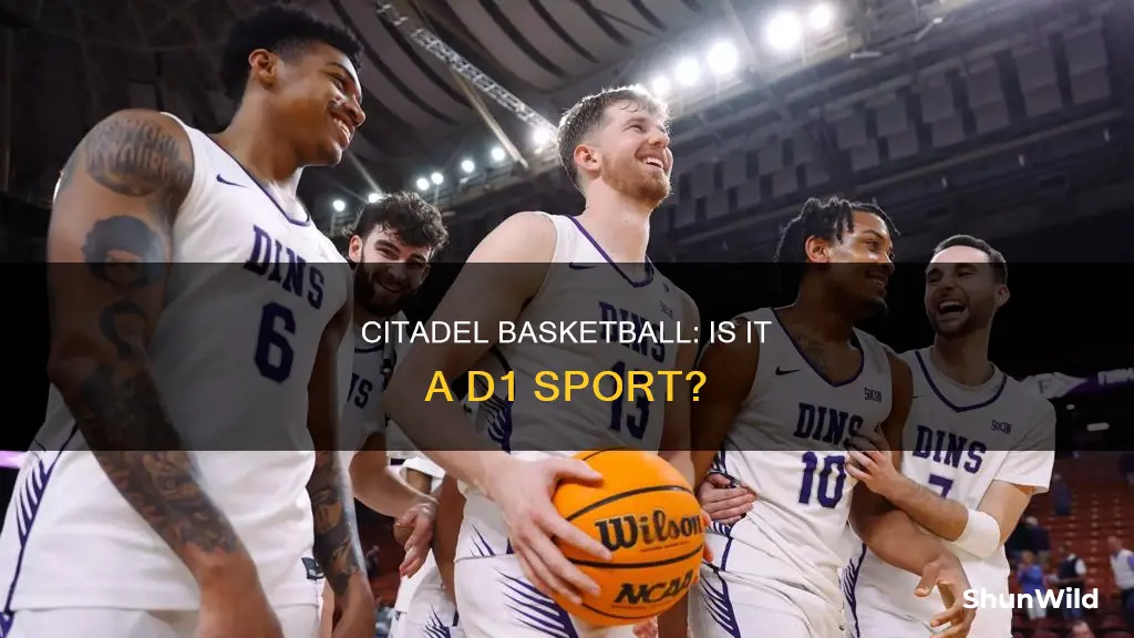 is citadel basketball d1