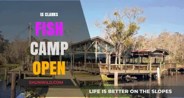 Is Clarks Fish Camp Open? Current Status and Updates