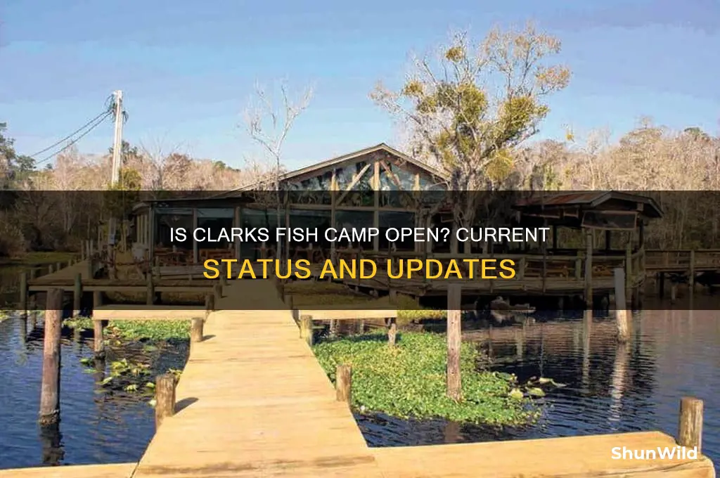 is clarks fish camp open