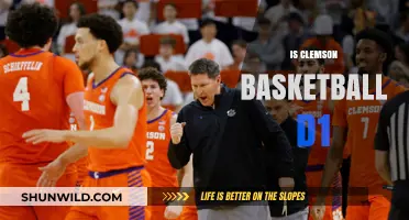 Clemson Basketball: Is It a D1 Sport?