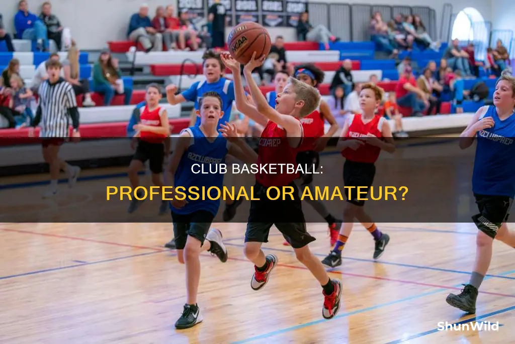 is club basketball professional
