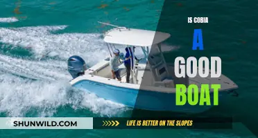 Cobia Boats: Worthy Investment or Overhyped?