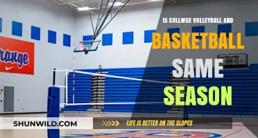 Volleyball and Basketball: Same College Season?