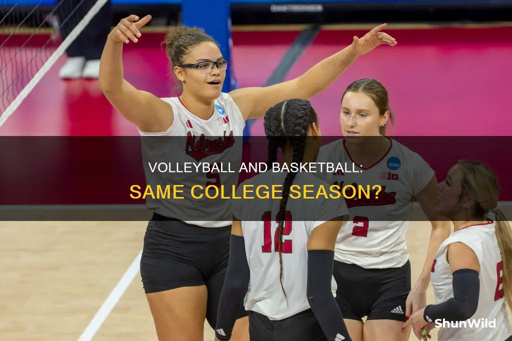is collwge volleyball and basketball same season