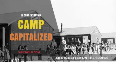 Concentration Camp Capitalization: Proper Usage and Historical Respect