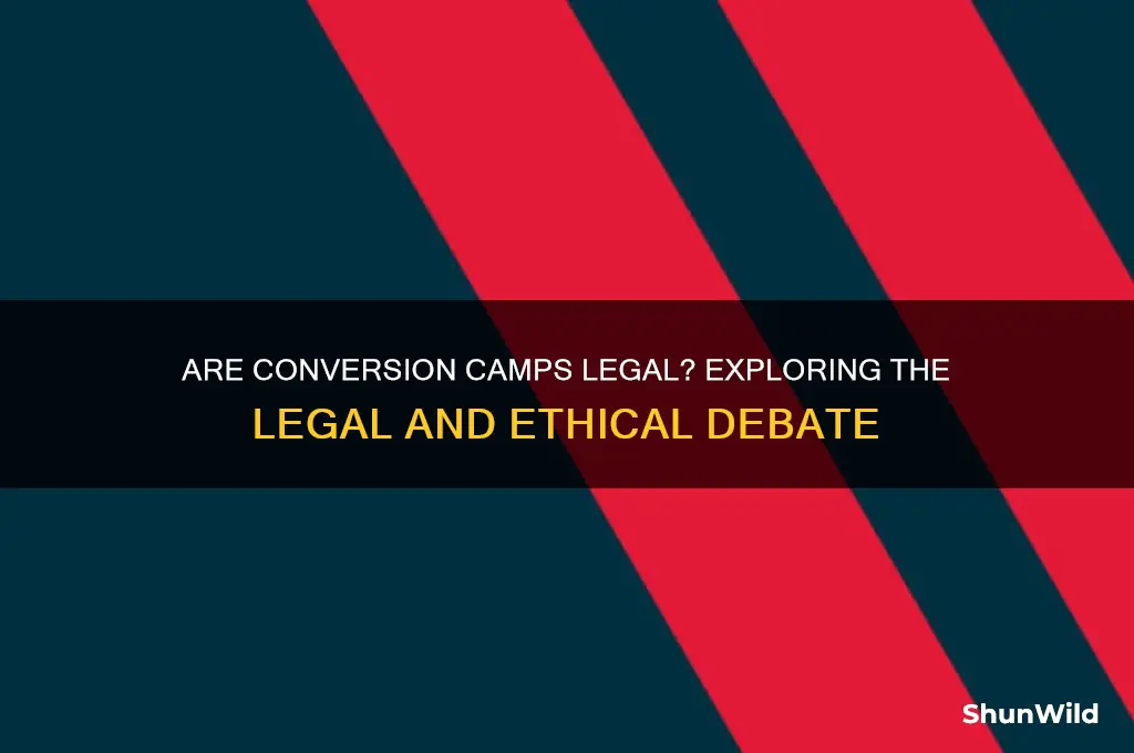 is conversion camp legal