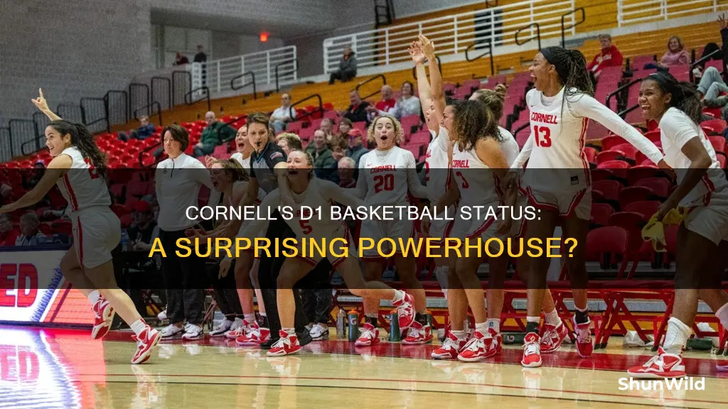 is cornall a d1 basketball school