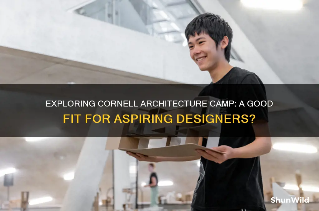 is cornell architecutre camp goo