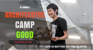 Is Cornell Architecture Camp Worth It? A Comprehensive Review