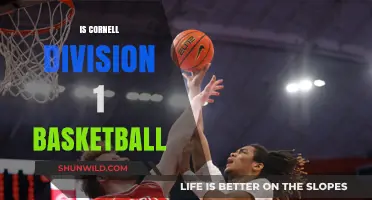 Cornell Basketball: Division 1 Status Explained